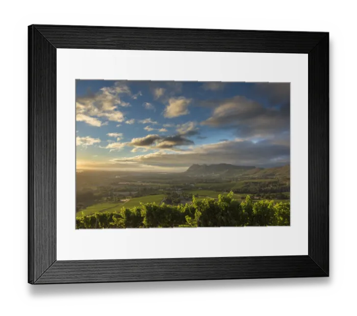 Framed Print : Overlooking False Bay from Klein Constantia, Cape Town. RSA Framed Print : Overlooking False Bay from Klein Constantia, Cape Town. RSA