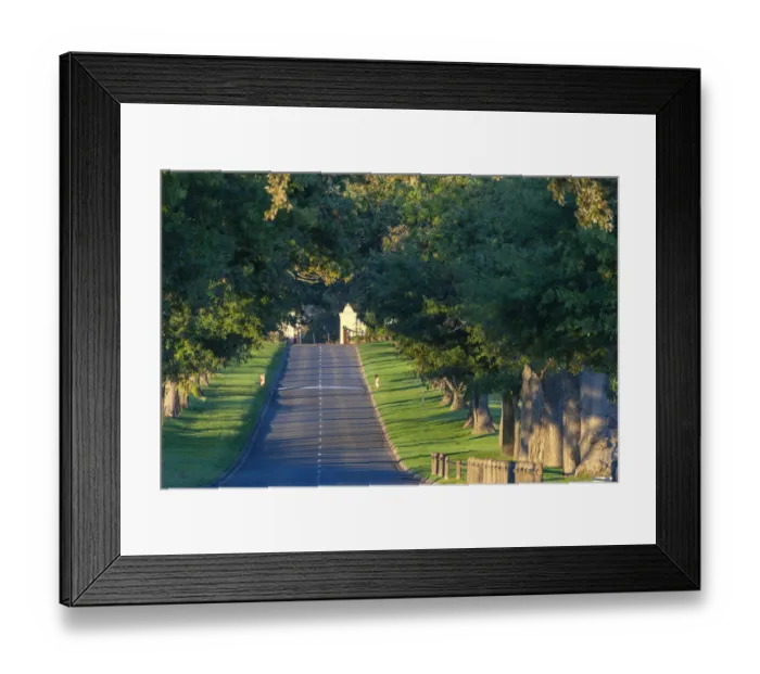 Framed Print : Main Avenue leading to Groot Constantia, Cape Town. RSA