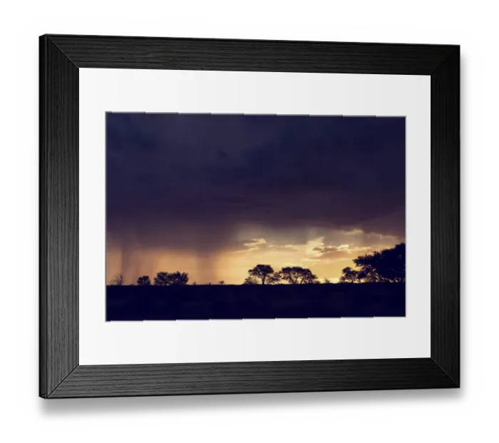 Framed Print : Kalahari rain storm approaching in the late afternoon with silhouetted trees - Kgalagadi Transfronteer Park, South Africa