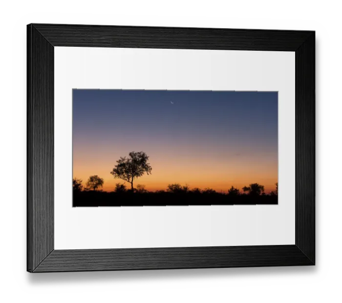 Framed Print : Lovely sunset in Kruger national park with tree silhouette and bright colours - Kruger National Park South Africa