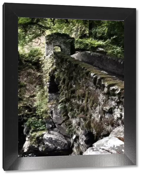 The Hermitage Bridge Perthshire Scotland with moss in artistic conversion - Scotland Europe