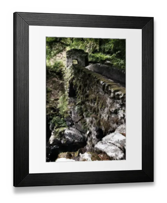 Framed Print : The Hermitage Bridge Perthshire Scotland with moss in artistic conversion - Scotland Europe Framed Print : The Hermitage Bridge Perthshire Scotland with moss in artistic conversion - Scotland Europe