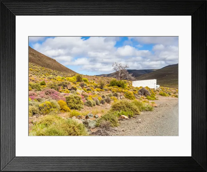 Framed Print : A typical Karoo scene, white building, colourful plants and hills. Very dry and arid landscape Framed Print : A typical Karoo scene, white building, colourful plants and hills. Very dry and arid landscape