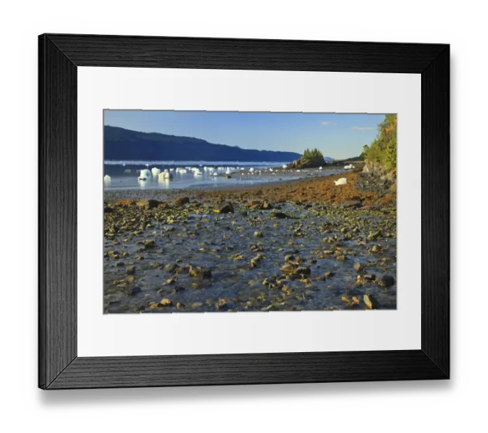 Framed Print : Smith Glacier and College Fjord, Prince William Sound, Alaska, USA Framed Print : Smith Glacier and College Fjord, Prince William Sound, Alaska, USA