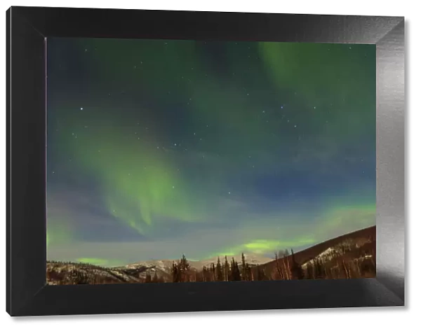 Aurora borealis display above Chena Hot Springs Resort 60 miles from Fairbanks, Alaska, USA