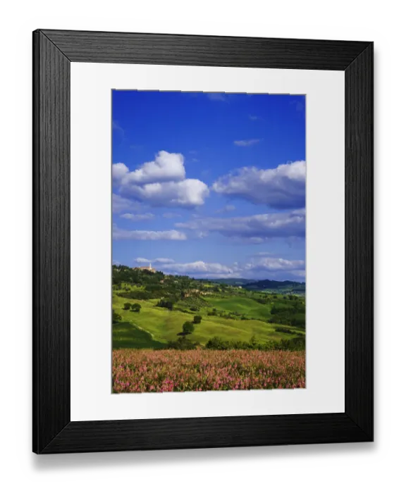 Framed Print : Hillside flowers and town, Pienza, Italy Framed Print : Hillside flowers and town, Pienza, Italy
