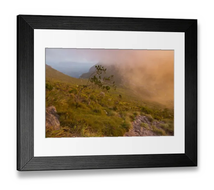 Framed Print : Scenic sunset over Table Mountain and Lions Head as seen from a hiking trail up Devils Peak, Cape Town, Western Cape Province, South Africa Framed Print : Scenic sunset over Table Mountain and Lions Head as seen from a hiking trail up Devils Peak, Cape Town, Western Cape Province, South Africa