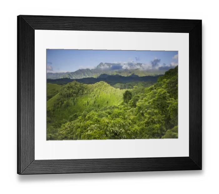 Framed Print : Scenic forest view on Kuilau Ridge Hiking Trail, Kauai, Hawaii, USA Framed Print : Scenic forest view on Kuilau Ridge Hiking Trail, Kauai, Hawaii, USA