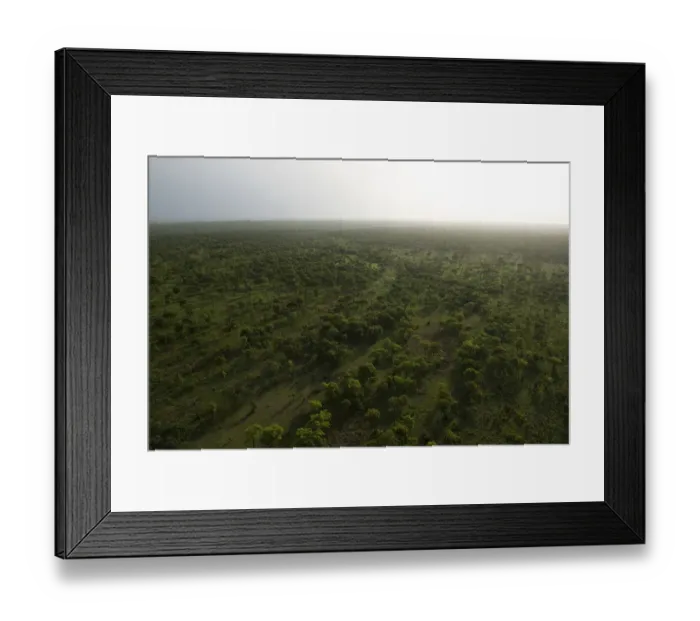 Framed Print : savanna woodland, doka, dambos, vista, afternoon light, colour image, northern cameroon Framed Print : savanna woodland, doka, dambos, vista, afternoon light, colour image, northern cameroon