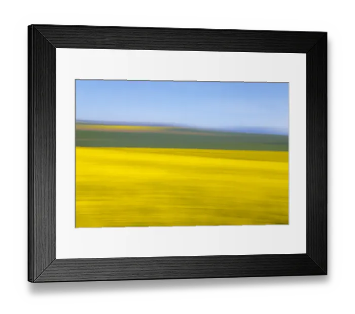 Framed Print : An artistic expression of Canola and Wheat fields in the early Spring with the bold yellow colors of canola offset by the emerald green of the wheat, Swellendam, Western Cape Province, South Africa