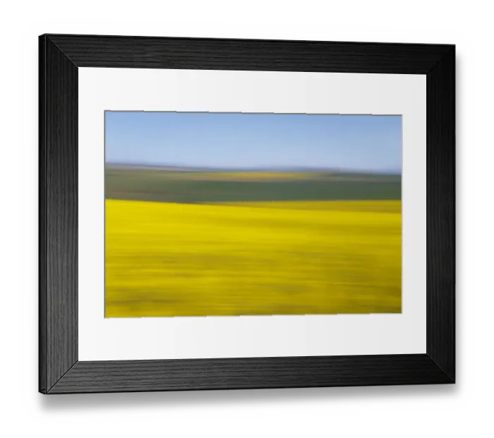 Framed Print : An artistic expression of Canola and Wheat fields in the early Spring with the bold yellow colors of canola offset by the emerald green of the wheat, Swellendam, Western Cape Province, South Africa Framed Print : An artistic expression of Canola and Wheat fields in the early Spring with the bold yellow colors of canola offset by the emerald green of the wheat, Swellendam, Western Cape Province, South Africa