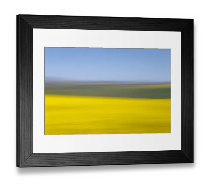 Framed Print : An artistic expression of Canola and Wheat fields in the early Spring with the bold yellow colors of canola offset by the emerald green of the wheat, Swellendam, Western Cape Province, South Africa Framed Print : An artistic expression of Canola and Wheat fields in the early Spring with the bold yellow colors of canola offset by the emerald green of the wheat, Swellendam, Western Cape Province, South Africa