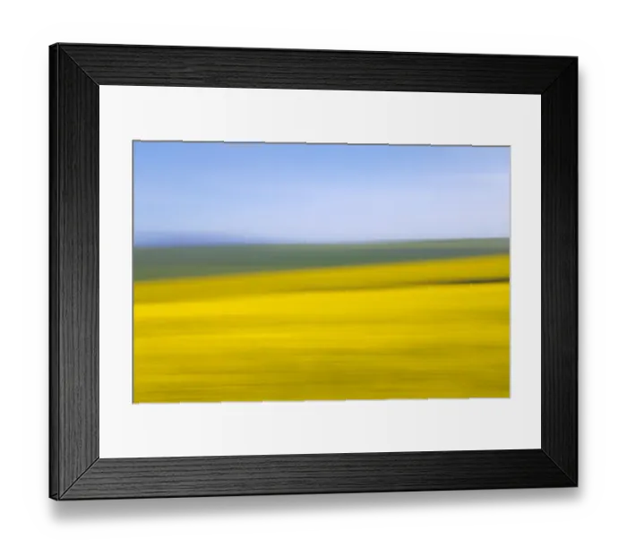 Framed Print : An artistic expression of Canola and Wheat fields in the early Spring with the bold yellow colors of canola offset by the emerald green of the wheat, Swellendam, Western Cape Province, South Africa Framed Print : An artistic expression of Canola and Wheat fields in the early Spring with the bold yellow colors of canola offset by the emerald green of the wheat, Swellendam, Western Cape Province, South Africa