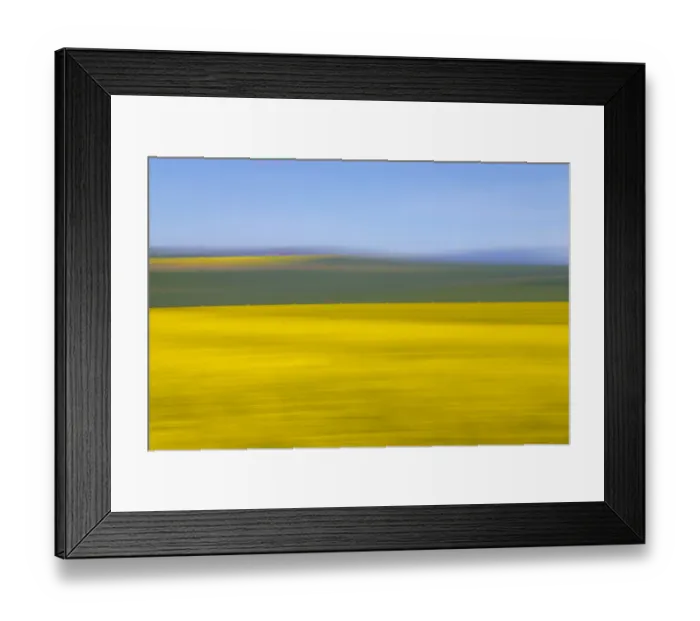 Framed Print : An artistic expression of Canola and Wheat fields in the early Spring with the bold yellow colors of canola offset by the emerald green of the wheat, Swellendam, Western Cape Province, South Africa Framed Print : An artistic expression of Canola and Wheat fields in the early Spring with the bold yellow colors of canola offset by the emerald green of the wheat, Swellendam, Western Cape Province, South Africa