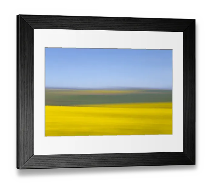 Framed Print : An artistic expression of Canola and Wheat fields in the early Spring with the bold yellow colors of canola offset by the emerald green of the wheat, Swellendam, Western Cape Province, South Africa