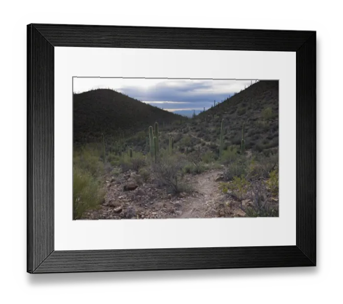 Framed Print : Scenic Sonoran Desert views along Starr Pass hiking trail, Tucson, Arizona, USA Framed Print : Scenic Sonoran Desert views along Starr Pass hiking trail, Tucson, Arizona, USA