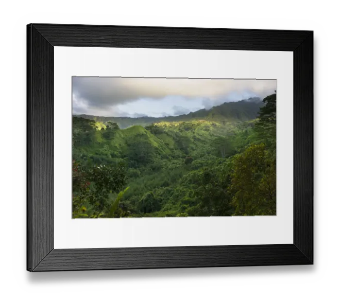 Framed Print : Scenic forest view on Kuilau Ridge Hiking Trail, Kauai, Hawaii, USA Framed Print : Scenic forest view on Kuilau Ridge Hiking Trail, Kauai, Hawaii, USA