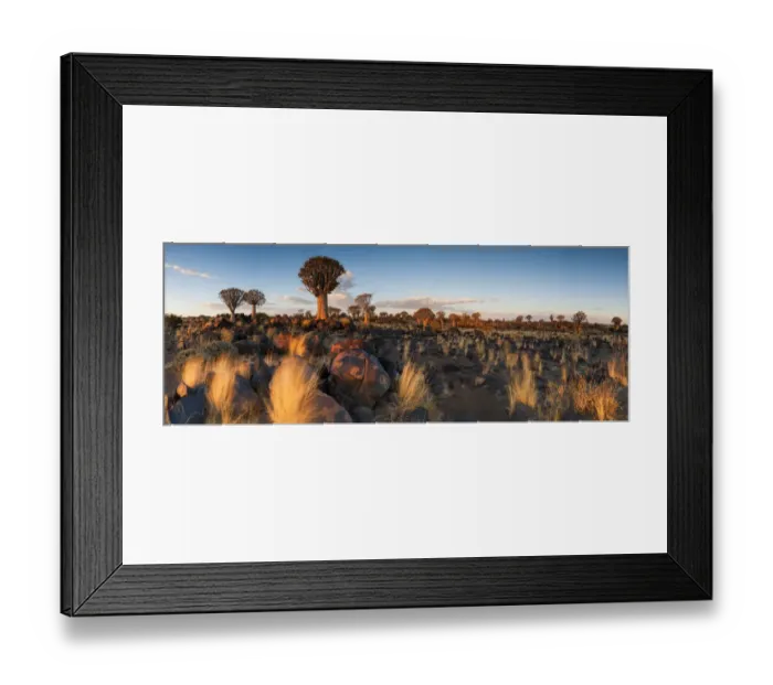 Framed Print : Panoramic Landscape Photo of the Last Golden Light over the Quiver Tree Forest, Keetmanshoop, Namibia Framed Print : Panoramic Landscape Photo of the Last Golden Light over the Quiver Tree Forest, Keetmanshoop, Namibia
