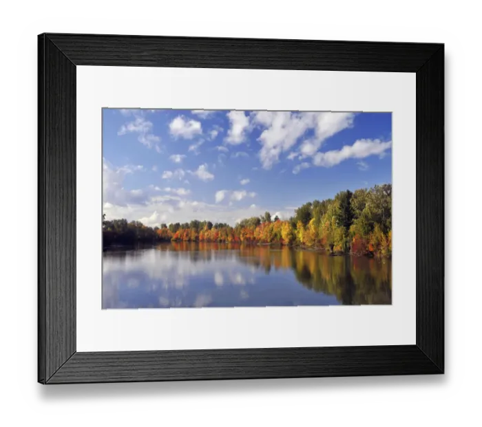 Framed Print : Autumn colored trees on shore of Johnson Lake, Portland, Oregon, USA Framed Print : Autumn colored trees on shore of Johnson Lake, Portland, Oregon, USA