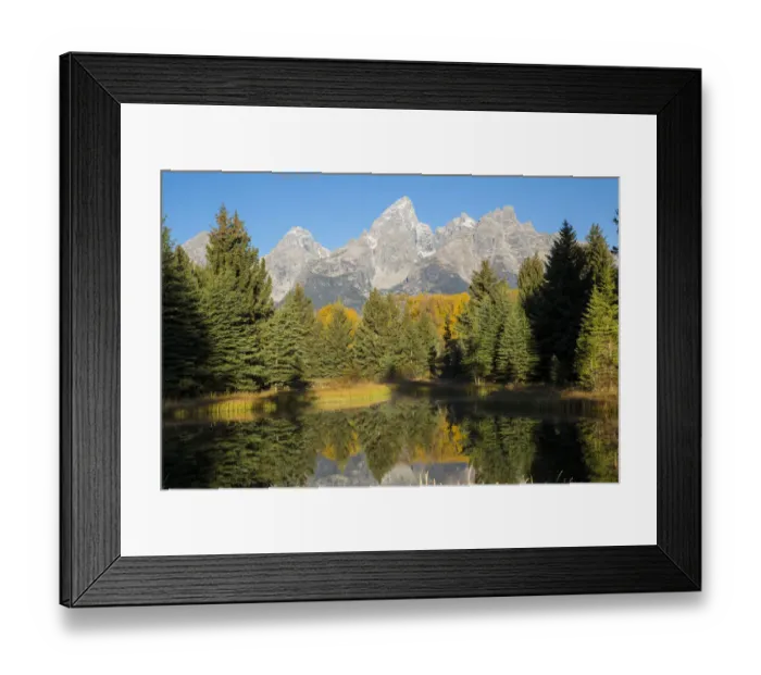 Framed Print : Sunrise at Schwabacher Landing in fall, Grand Teton National Park, Wyoming, USA Framed Print : Sunrise at Schwabacher Landing in fall, Grand Teton National Park, Wyoming, USA