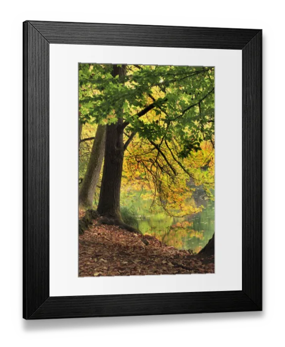 Framed Print : Pond at Laurelhurst Park, Portland, Oregon, USA Framed Print : Pond at Laurelhurst Park, Portland, Oregon, USA