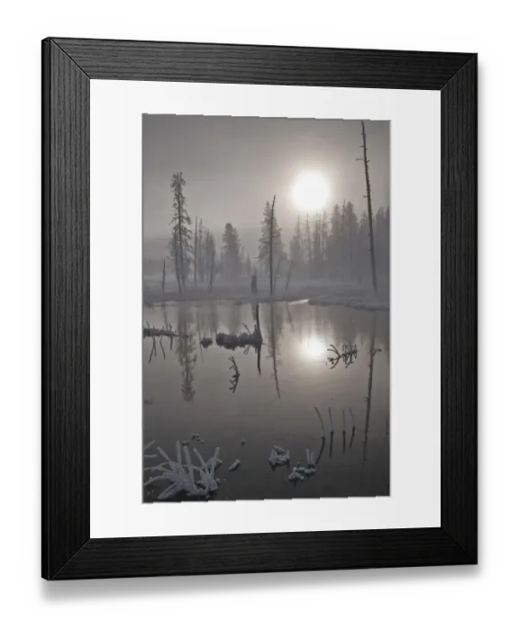 Framed Print : Fog at sunrise, Yellowstone National Park, Wyoming, USA