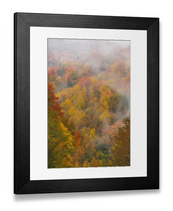 Framed Print : Fog over autumn colored forest, North Carolina, USA Framed Print : Fog over autumn colored forest, North Carolina, USA