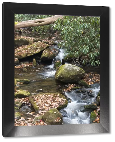 Rocky stream in Great Smoky Mountains seen from Twenty Mile hike, North Carolina, USA