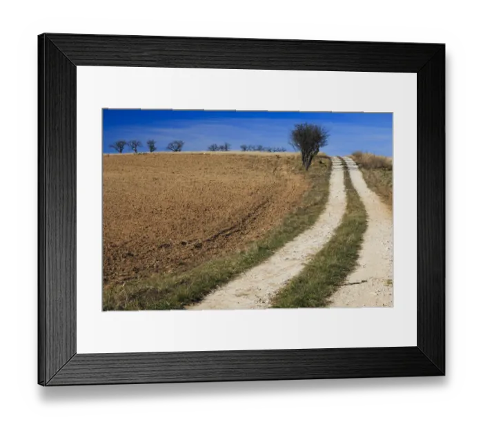 Framed Print : Dirt road and field, Dobricu Lapusului, Targu Lapus, Maramures County, Transylvania, Romania Framed Print : Dirt road and field, Dobricu Lapusului, Targu Lapus, Maramures County, Transylvania, Romania