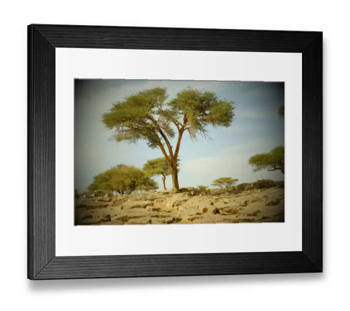 Framed Print : Landscape of MHamid of Draa valley, Morocco Framed Print : Landscape of MHamid of Draa valley, Morocco