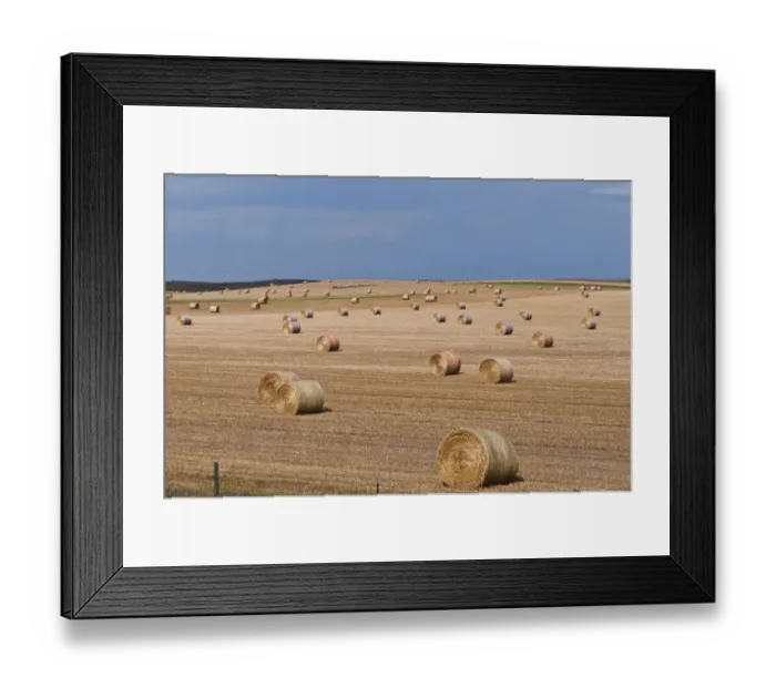Framed Print : Rolled hay bales, Buffalo Gap, South Dakota, USA