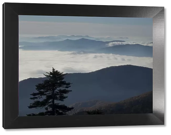 Mist in valley of Great Smoky Mountains National Park from Clingmans Dome, Tennessee, USA