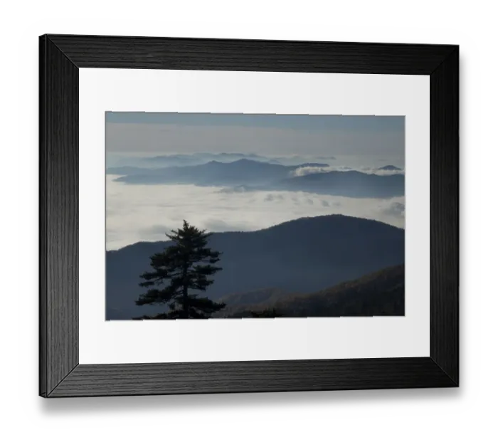 Framed Print : Mist in valley of Great Smoky Mountains National Park from Clingmans Dome, Tennessee, USA Framed Print : Mist in valley of Great Smoky Mountains National Park from Clingmans Dome, Tennessee, USA