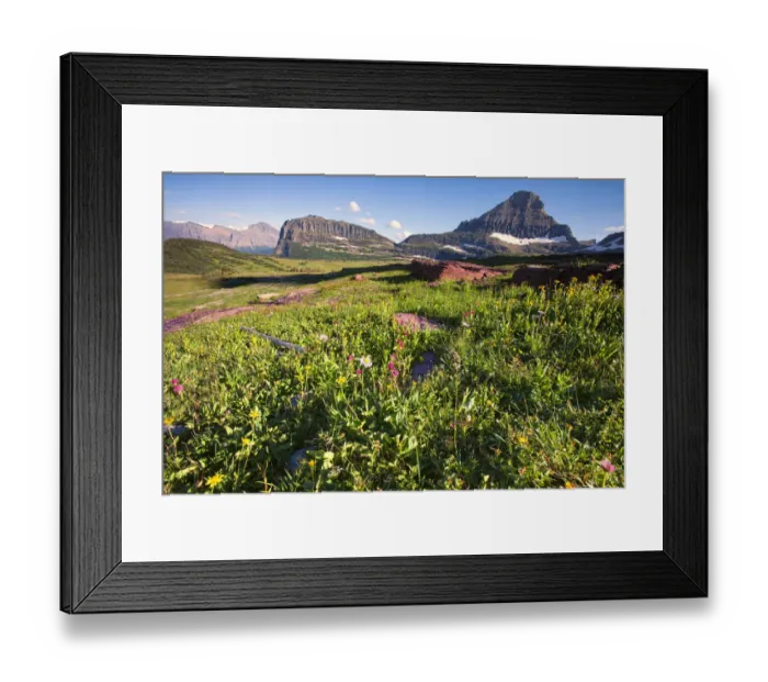 Framed Print : Wildflowers and mountains at Glacier National Park, Montana, USA