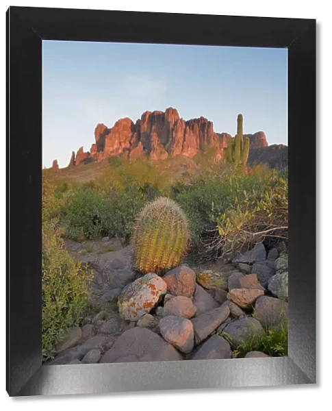 Barrel Cactus in front of Superstition Mountains, Lost Dutchman State Park, Arizona, USA
