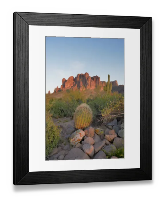 Framed Print : Barrel Cactus in front of Superstition Mountains, Lost Dutchman State Park, Arizona, USA