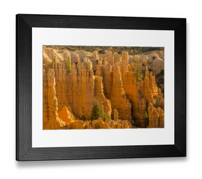 Framed Print : Bryce Canyon National Park, Utah, USA Framed Print : Bryce Canyon National Park, Utah, USA