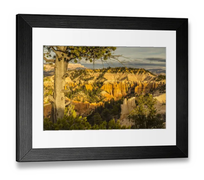 Framed Print : Bryce Canyon National Park, Utah, USA Framed Print : Bryce Canyon National Park, Utah, USA