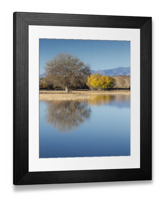 Framed Print : Autumn trees and mountain range reflecting in water at Bosque del Apache National Wildlife Refuge, New Mexico, USA Framed Print : Autumn trees and mountain range reflecting in water at Bosque del Apache National Wildlife Refuge, New Mexico, USA