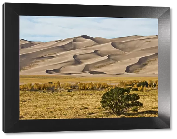 Landscape of Great Sand Dunes National Park and Preserve, Alamosa, Colorado, USA