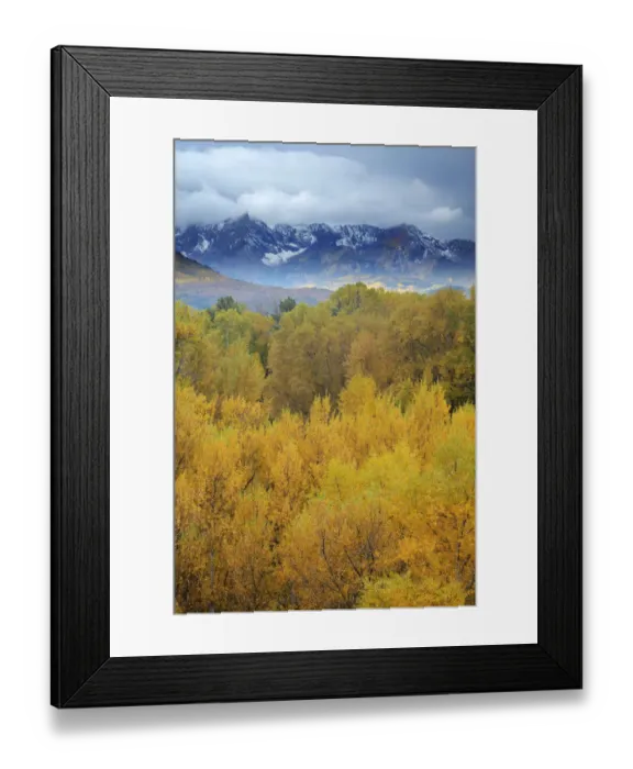 Framed Print : Mountains and forest in autumn, San Juan Mountains, Colorado, USA Framed Print : Mountains and forest in autumn, San Juan Mountains, Colorado, USA