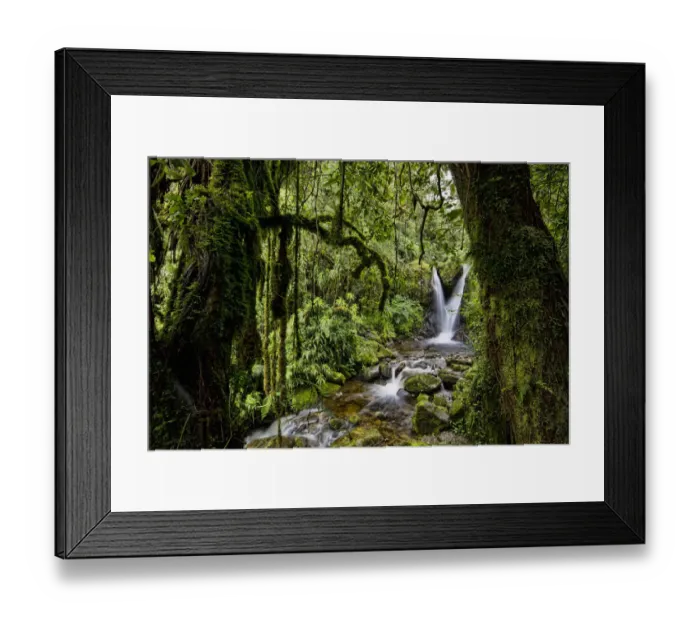 Framed Print : Enocks Falls near Sine Hut, montane forest vegetation zone, Kilembe Route, Rwenzori National Park, Kasese District, Uganda