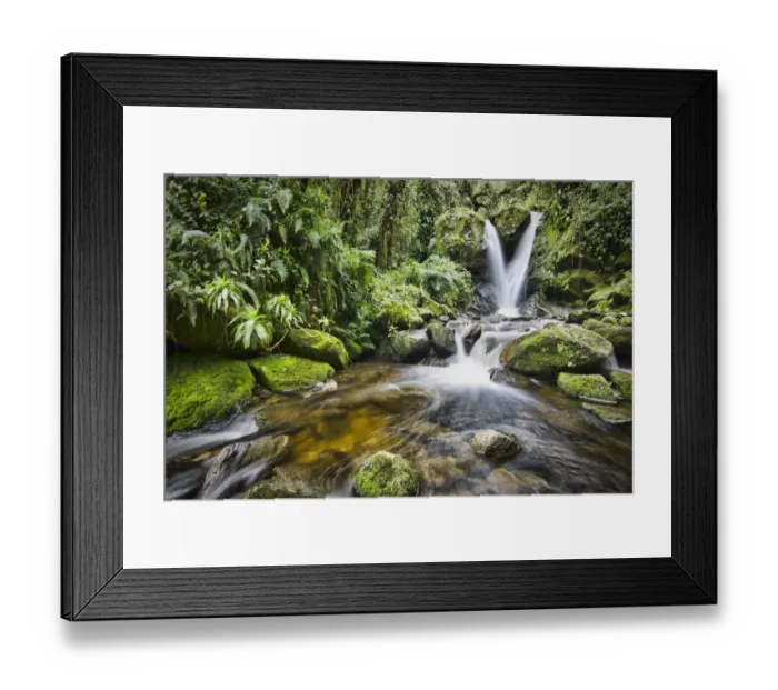 Framed Print : Enocks Falls near Sine Hut, montane forest vegetation zone, Kilembe Route, Rwenzori National Park, Kasese District, Uganda Framed Print : Enocks Falls near Sine Hut, montane forest vegetation zone, Kilembe Route, Rwenzori National Park, Kasese District, Uganda