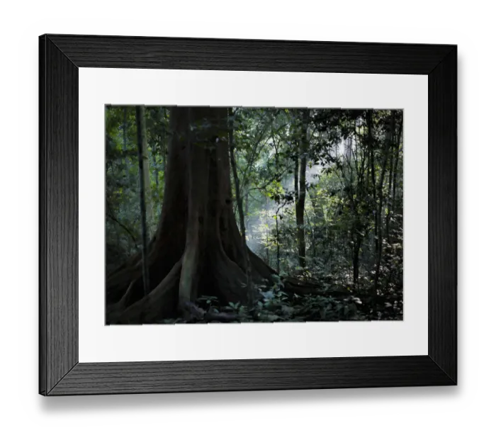 Framed Print : Scenic view of Budongo Forest, Murchison Falls National Park, Uganda Framed Print : Scenic view of Budongo Forest, Murchison Falls National Park, Uganda