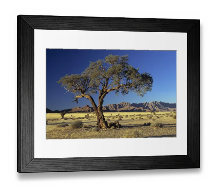 Framed Print : Color Image, Colour Image, Photography, Outdoors, No people, Horizontal, Landscape Framed Print : Color Image, Colour Image, Photography, Outdoors, No people, Horizontal, Landscape