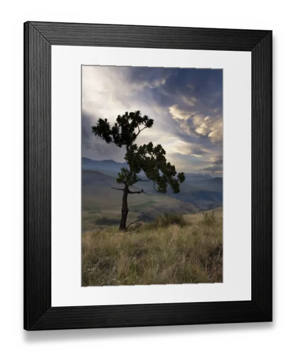 Framed Print : Moody sunset with a storm brewing in the Drakensberg, Giants Castle South Africa Framed Print : Moody sunset with a storm brewing in the Drakensberg, Giants Castle South Africa