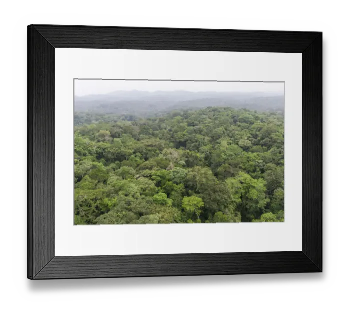 Framed Print : Color Image, Photography, No People, Horizontal, Outdoors, Day, Aerial View, Nature Framed Print : Color Image, Photography, No People, Horizontal, Outdoors, Day, Aerial View, Nature