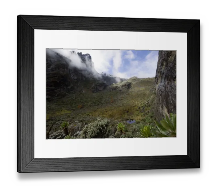 Framed Print : View from Mount Stanley from the Kilembe Route, Rwenzori National Park, Kasese District, Uganda Framed Print : View from Mount Stanley from the Kilembe Route, Rwenzori National Park, Kasese District, Uganda