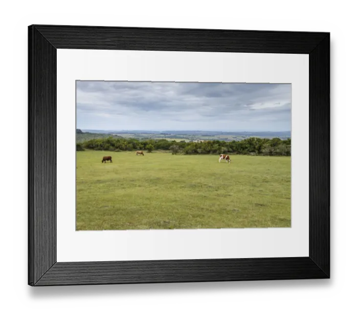 Framed Print : Pastoral scene in the farmlands of Eastern Cape