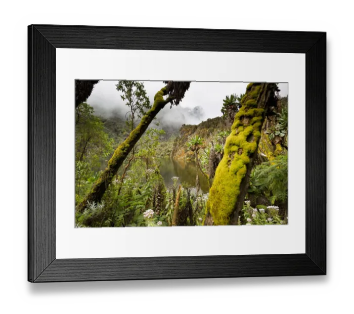 Framed Print : Kitandara Lake, Kilembe Route, Rwenzori National Park, Kasese District, Uganda Framed Print : Kitandara Lake, Kilembe Route, Rwenzori National Park, Kasese District, Uganda